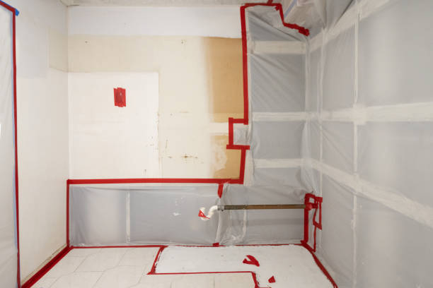 Best Black Mold Removal  in Hudson, FL