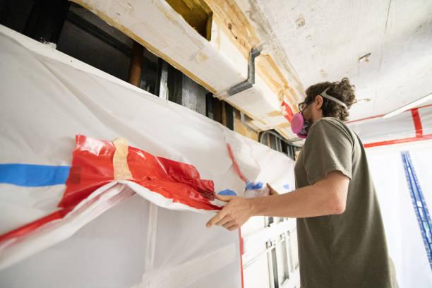 Best Mold Odor Removal Services  in Hudson, FL