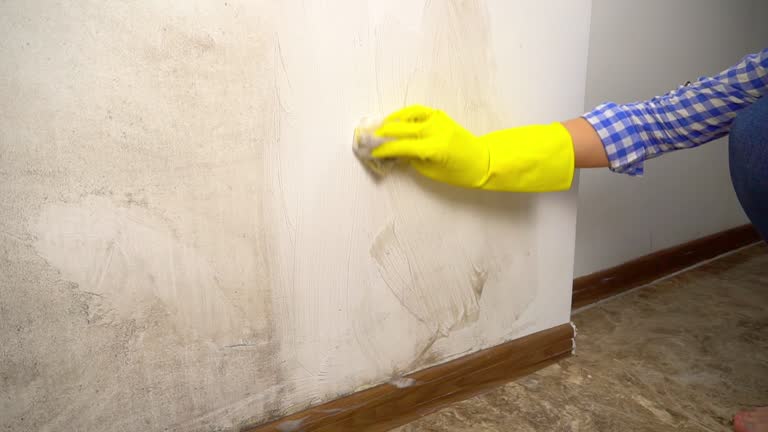 Best Residential Mold Inspection & Testing  in Hudson, FL