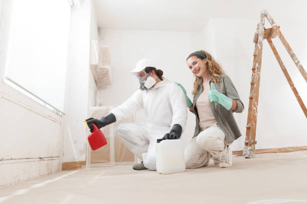 Best Forensic Mold Investigation  in Hudson, FL