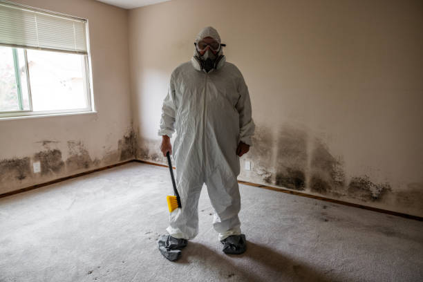 Best Asbestos and Lead Testing During Mold Inspection  in Hudson, FL
